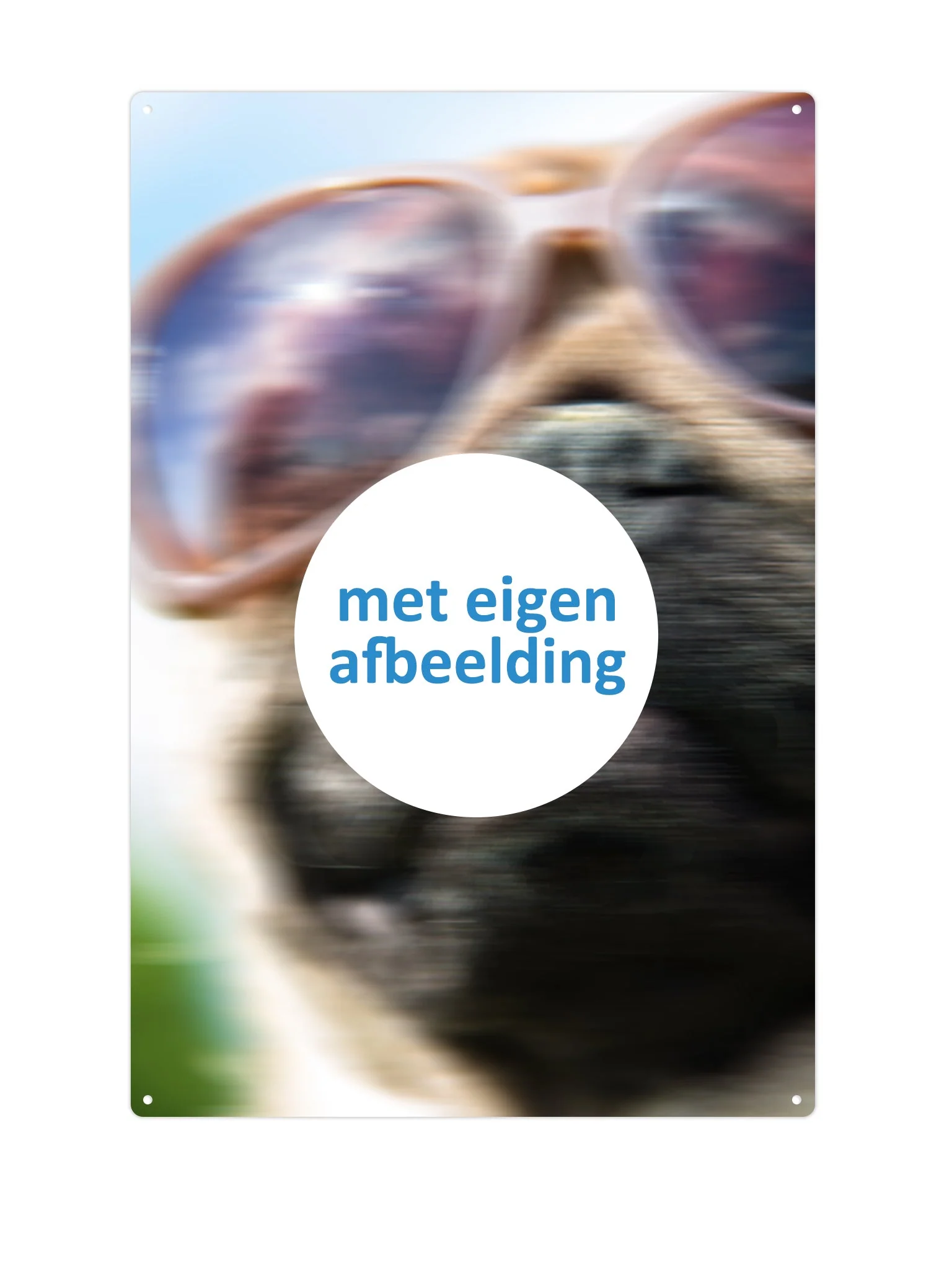 Populair NL